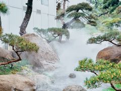 -罗红摄影艺术馆