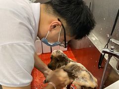 -宠爱国际动物医院(德胜门店)