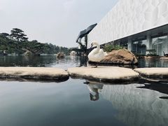 -罗红摄影艺术馆