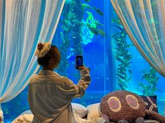 -南昌融创海世界