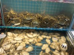 -港畔赶海蒸汽海鲜烧烤自助(仙螺岛店)