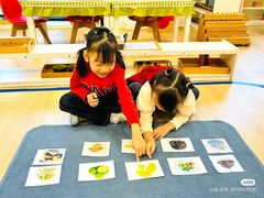 -金点蒙氏国际教育(悠然校区)