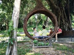 -深圳野生动物园