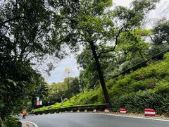 -广州市白云山风景名胜区