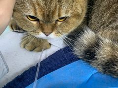 -达爱动物医院·犬猫分区·CT·复杂眼科(远洋山水分院)