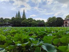 -南浔古镇