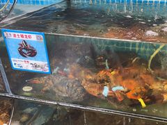 -范饭椰林川湘味海鲜·椰子鸡(三亚湾椰梦长廊店)