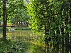 -宜昌富力皇冠假日酒店·咖啡1号西餐厅