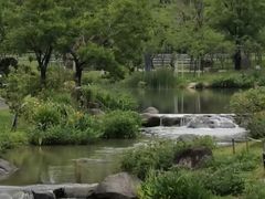 -牛岗山公园