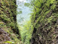 -塔云山