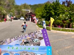 -燕塞湖鸟语林景区
