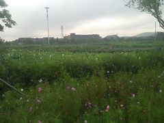 -明中都皇故城及皇陵石刻