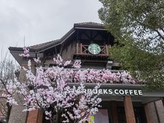 -星巴克臻选(思南公馆店)