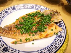 -兰边碗(鼓楼店)