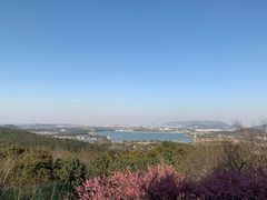 -香雪海