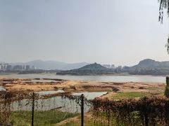 -立新湖公园