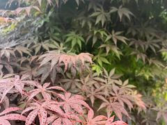 -南武当山景区