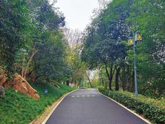 -龟山风景区-龟山电视塔