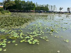 -滆湖低碳生态公园