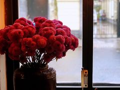 大堂-Apollo·西班牙小酒馆(安福路店)