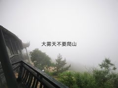 -石老人观光园