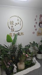 -寇氏减肥