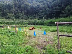 -北京山里寒舍度假酒店