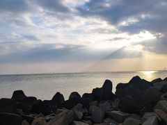 -南汇嘴观海公园