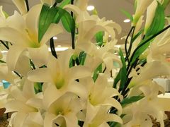 -深圳维景酒店-维景轩