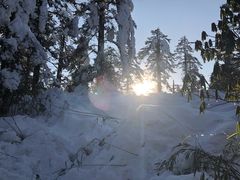 -瓦屋山景区