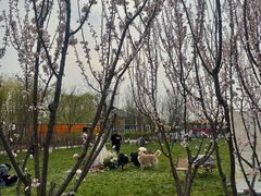 -爪吧宠物乐园 (温榆河示范区店)