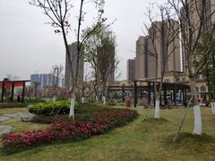 -府河摄影公园