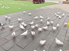 -华谊兄弟（长沙）电影小镇