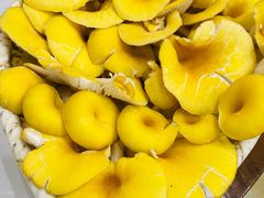 -朴小妹人参鸡汤火锅(长白山万达店)