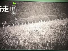 -山下C5cafe(惠通时代广场店)