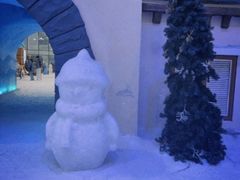 -世界之窗阿尔卑斯冰雪世界