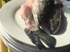 -活鱼馆(宜兴埠店)