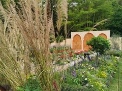 -深圳仙湖植物园