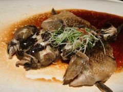 -福玺荟(外滩罗斯福店)