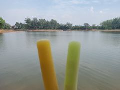 -三岔湖高家庄农家乐烤全羊柴火鸡翘壳鱼(三岔湖店)