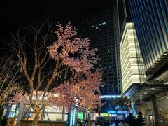 -首开·龙湖成都西宸天街