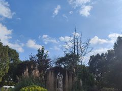 -白鹭湾湿地公园