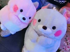-PAWTOY爪e玩偶店(天兴罗斯福店)