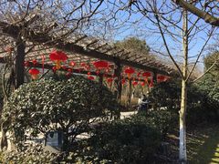 -白马涧龙池景区