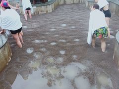 -三江森林温泉度假区