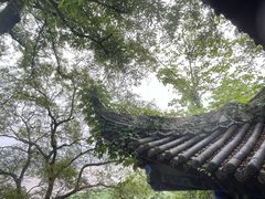 -丰都鬼城名山景区