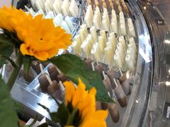 -Patagonia Chocolates(皇后镇店)