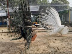 -武汉紫薇都市田园