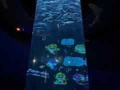 -香港海洋公园