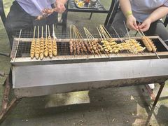-尚庄度假村·庭台树下·户外烧烤·团建CS·轰趴营地(上庄水库店)